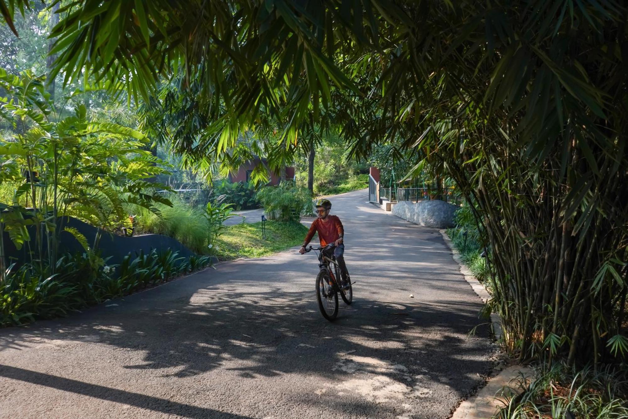 Vyna Hillock Resort And Spa Vythiri Ngoại thất bức ảnh