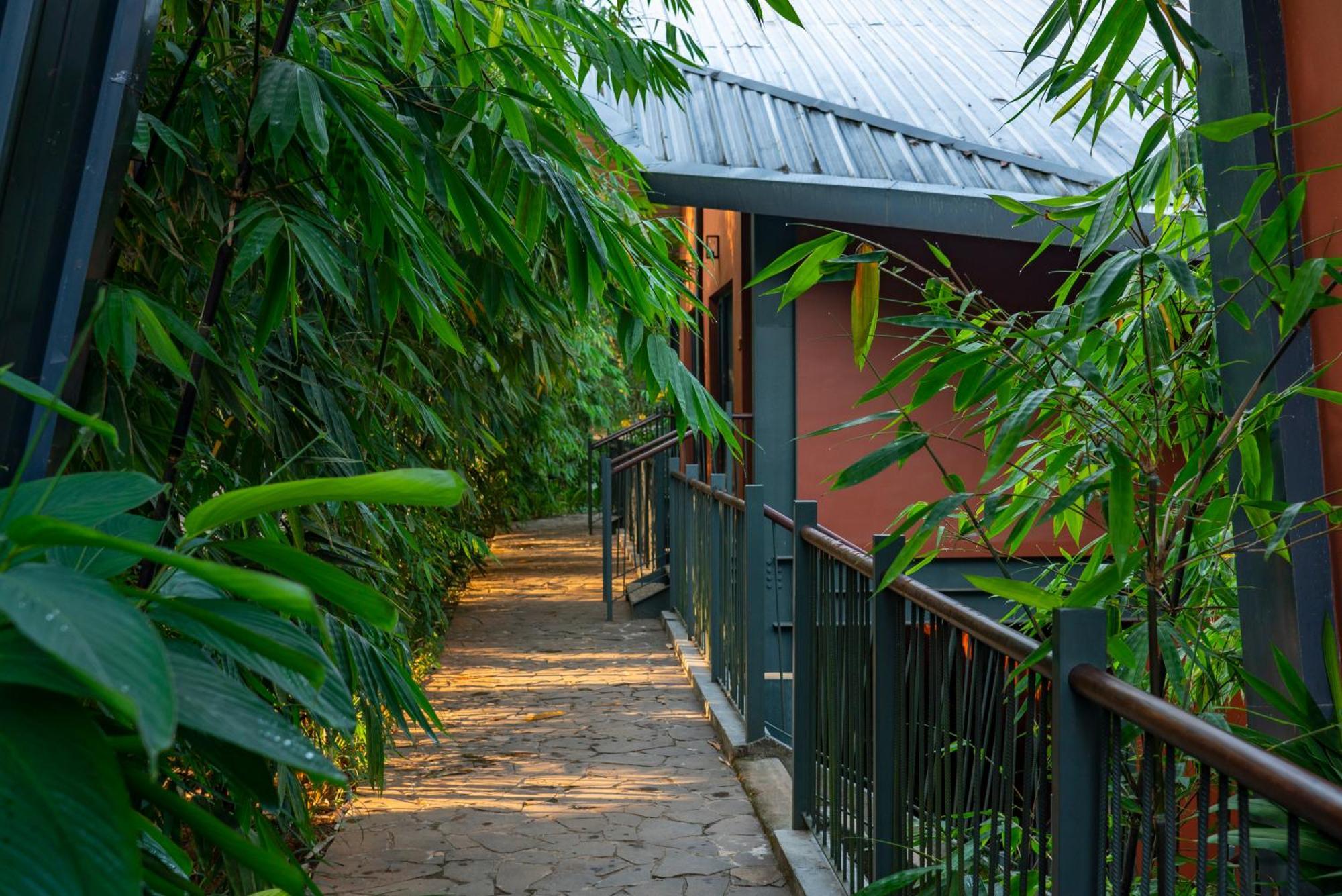 Vyna Hillock Resort And Spa Vythiri Ngoại thất bức ảnh
